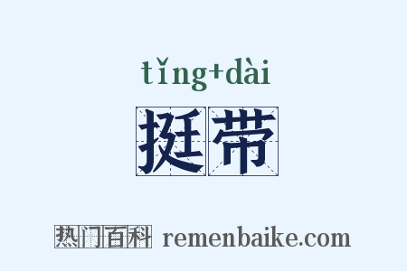 挺带是什么意思的图片